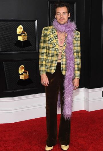 Harry Styles Grammy 2021